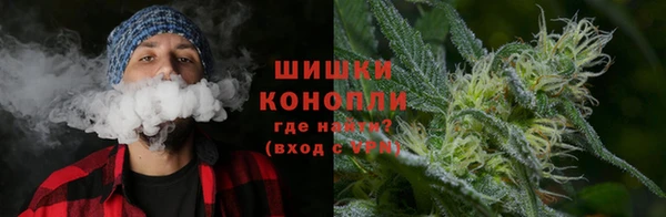 амф Балахна