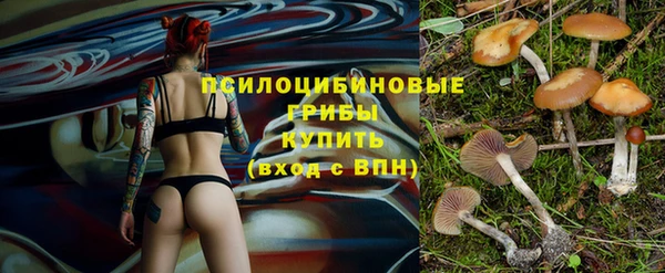 амф Балахна