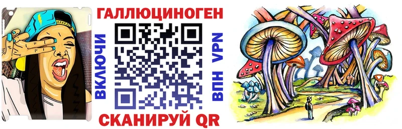 MEGA сайт магазин продажи наркотиков Ядрин Псилоцибиновые грибы Cubensis