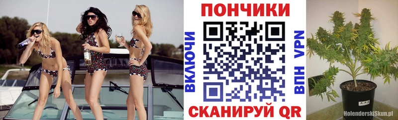 Каннабис VHQ  Ядрин 